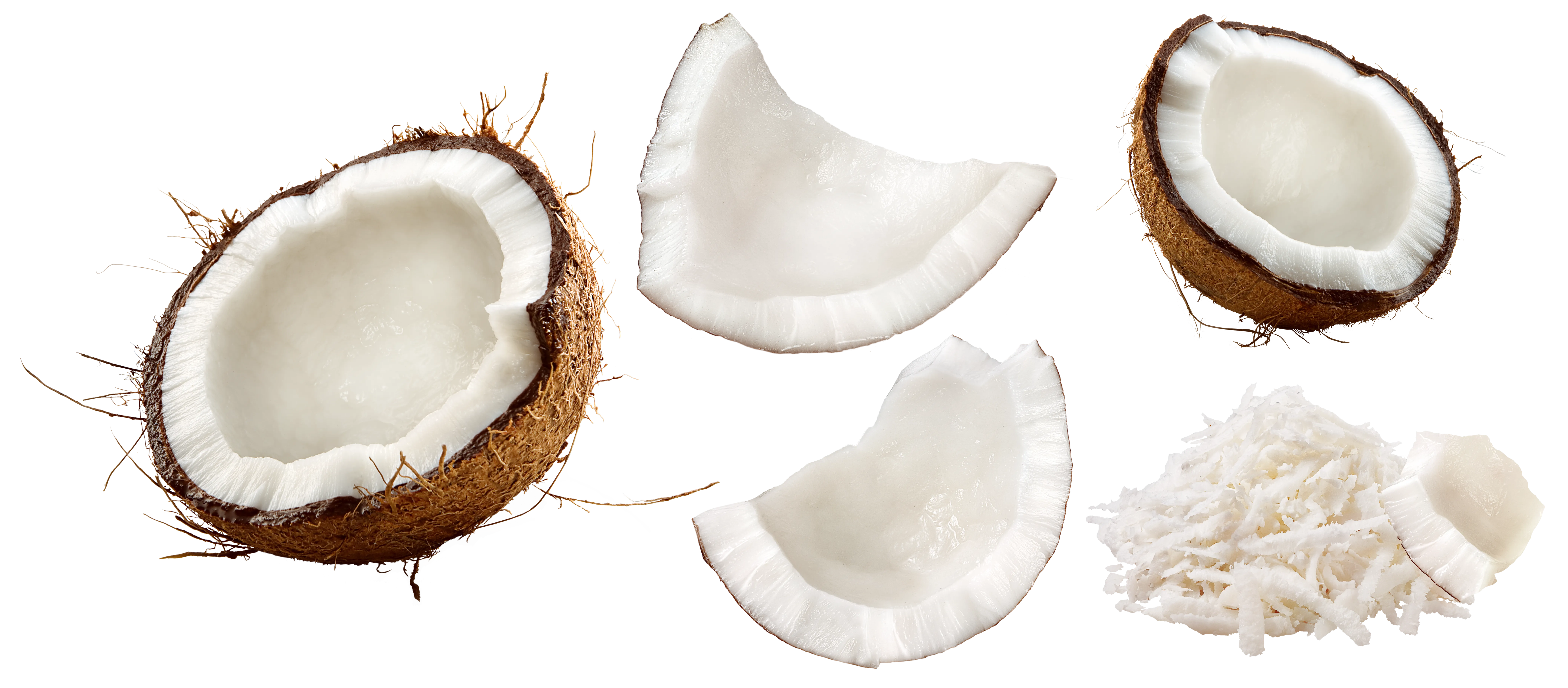 Noix de coco ouvertes illustrant l’univers CocoLand