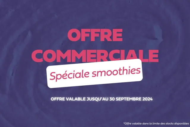 Machine à smoothies et jus frais professionnelle