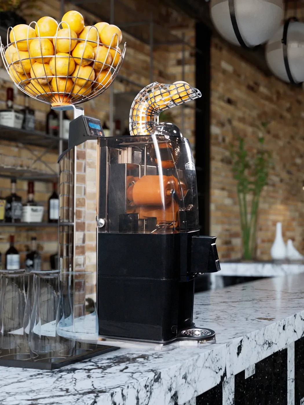 OL 41 sur un comptoir de bar en marbre, devant une cave à vins